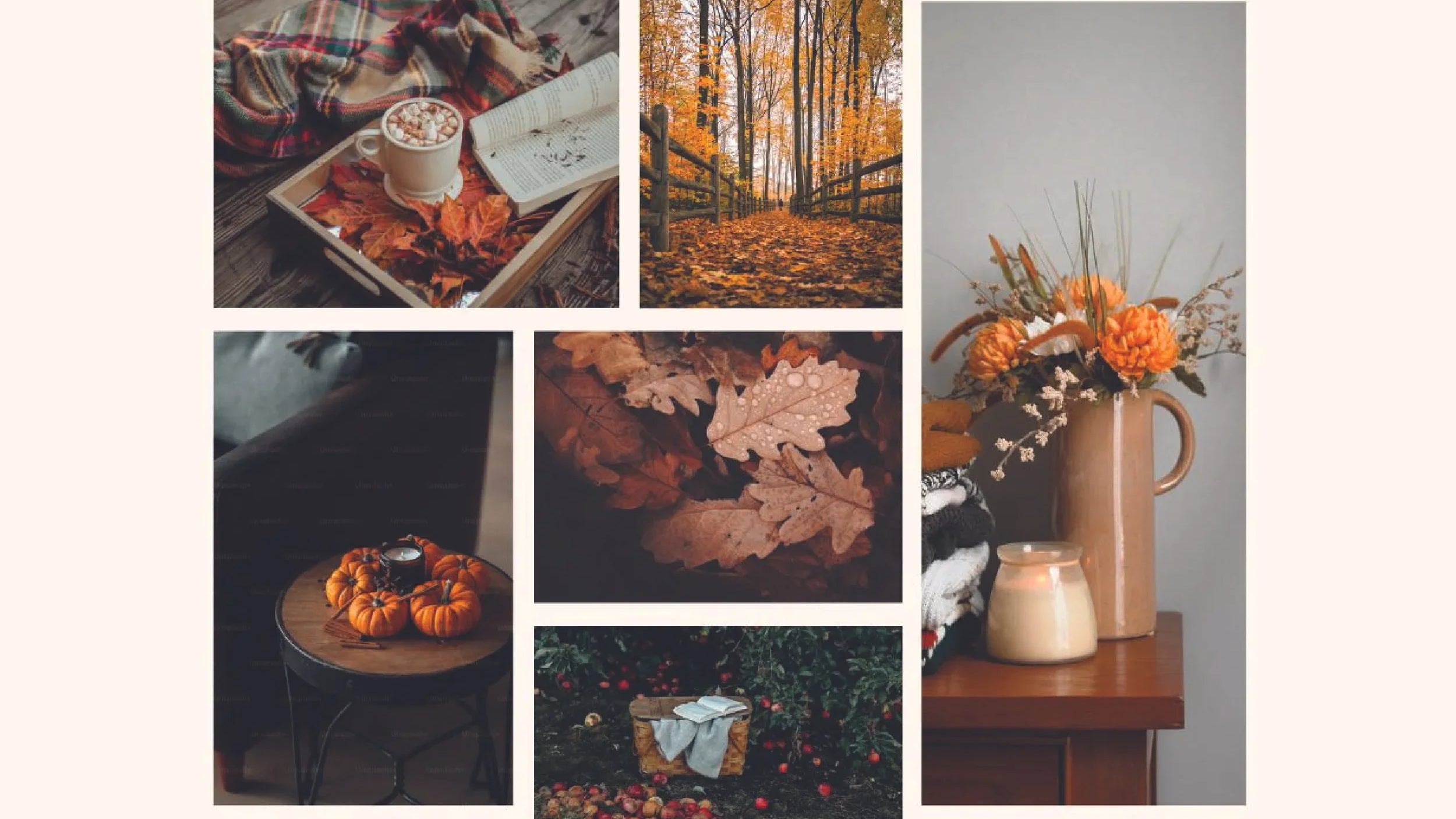 Fall Mood Work Fall Mood Board Inspiration โ Molly Marie Pea