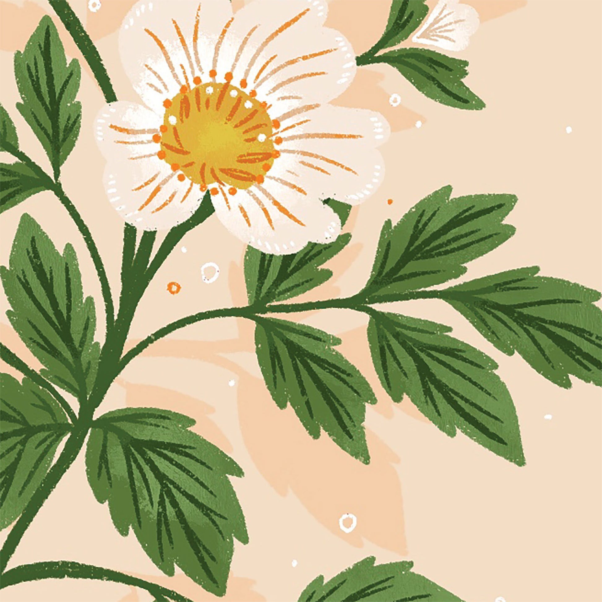 Thinking of You Botanical Sympathy Card