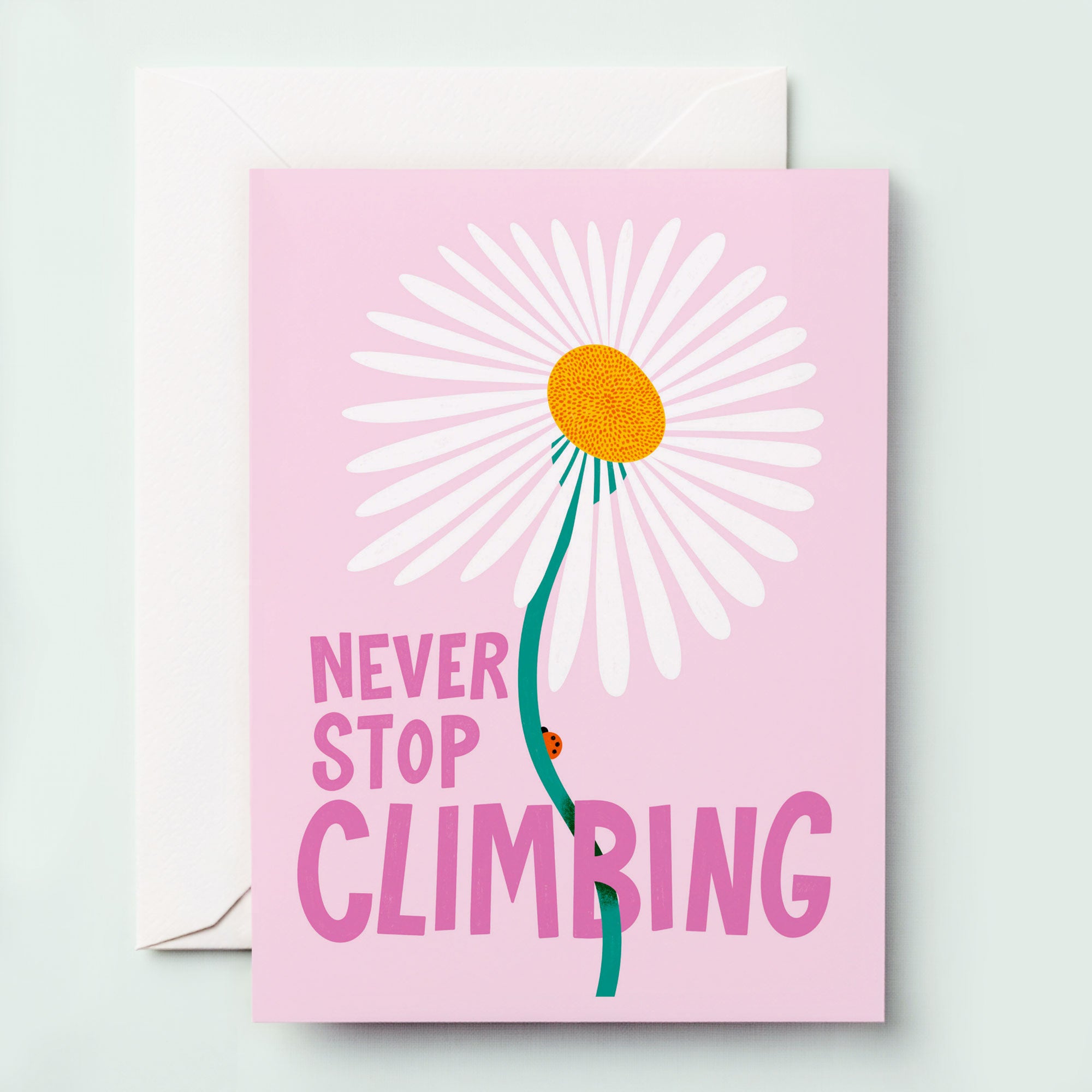 Never Stop Climbing