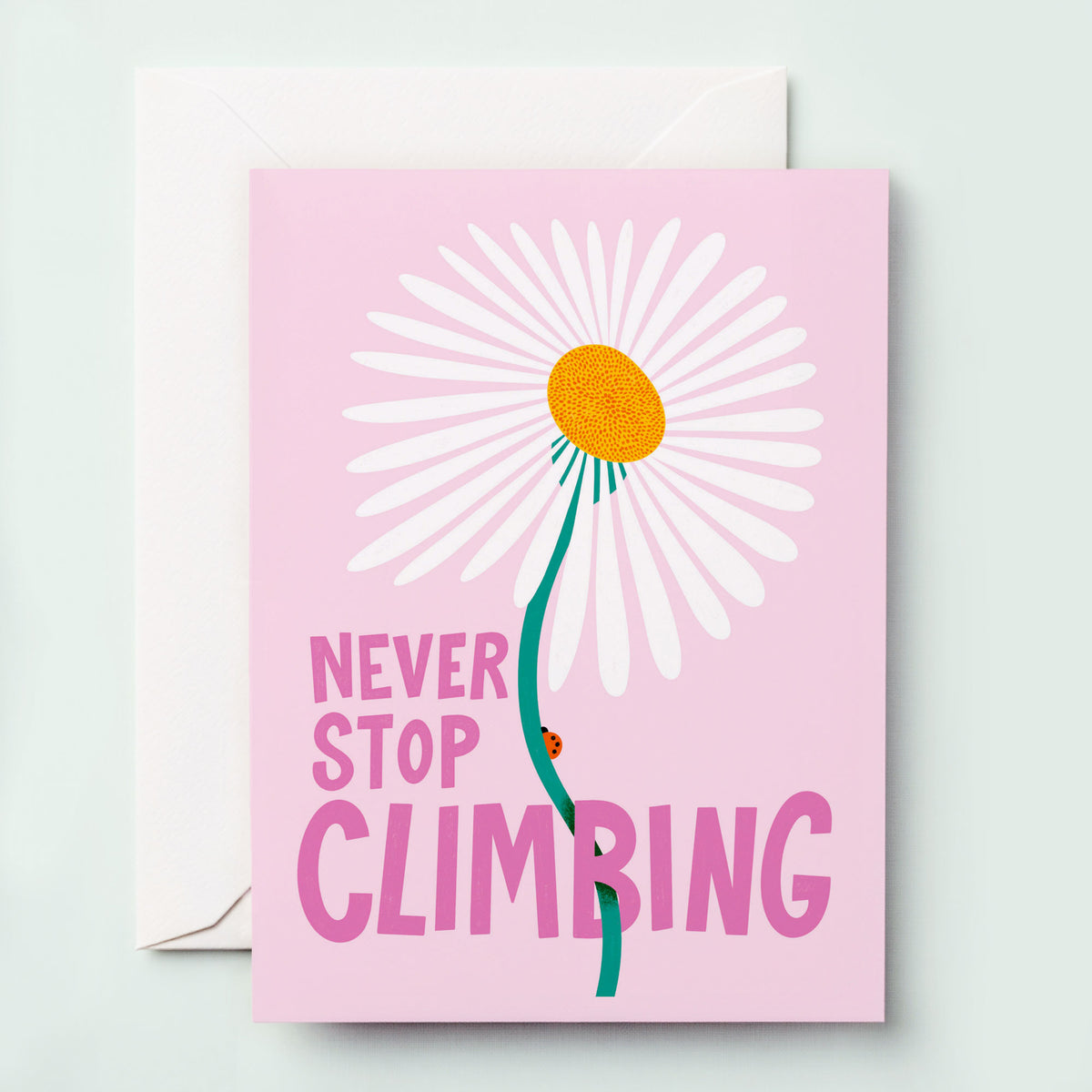 Never Stop Climbing