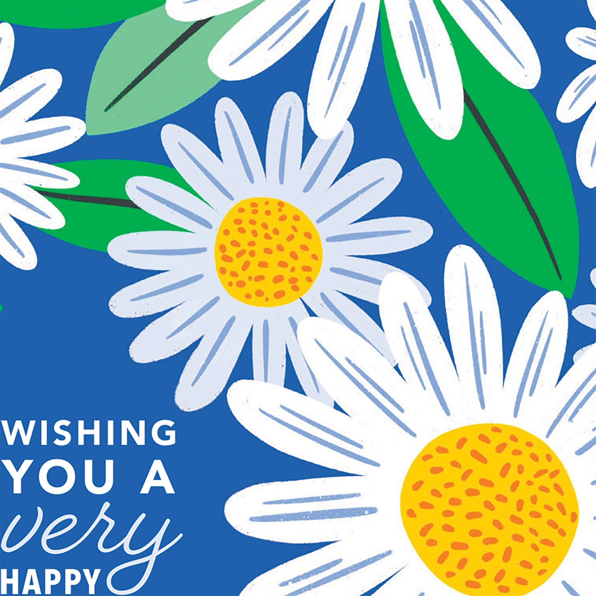Field of Daisies Birthday Card