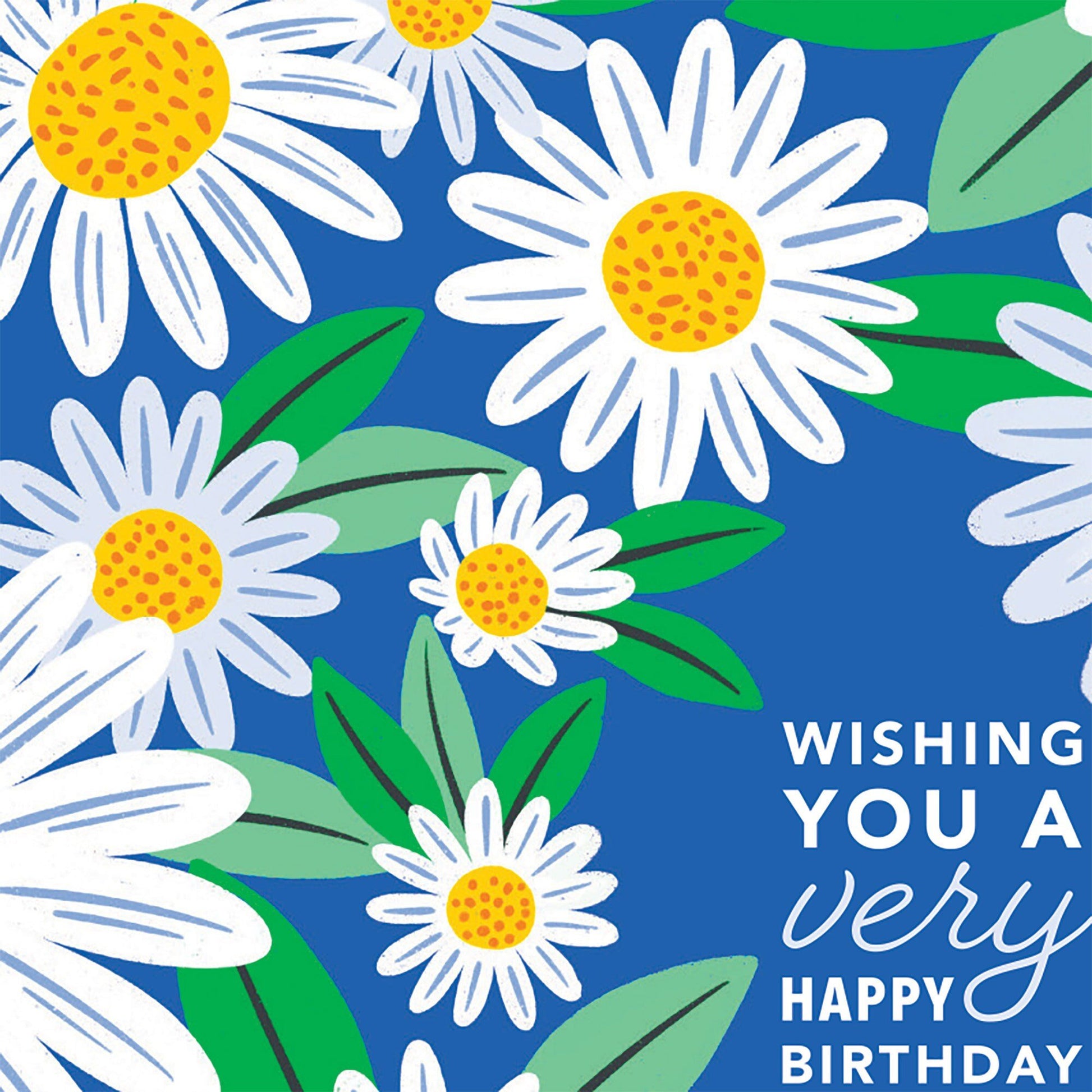 Field of Daisies Birthday Card