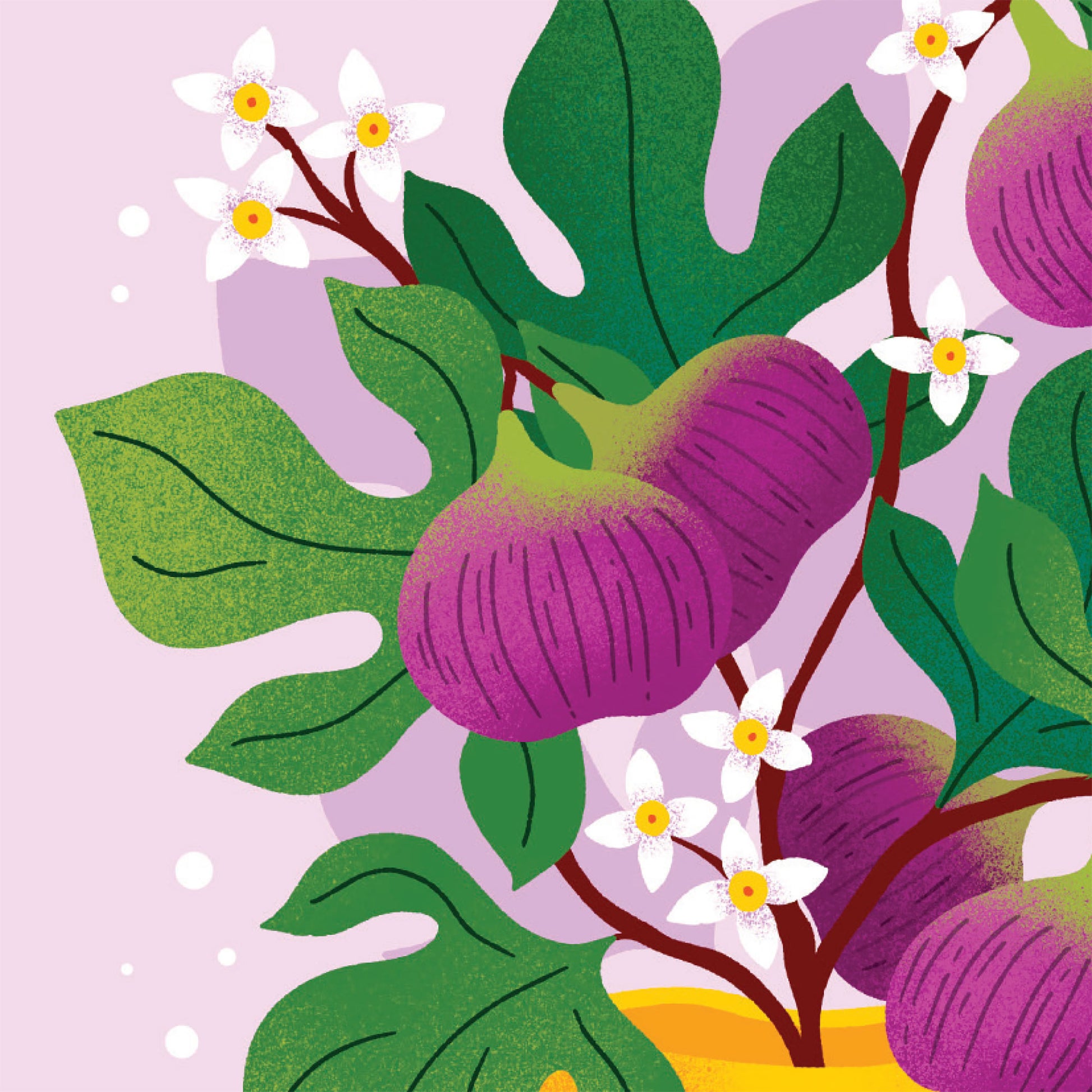 To a Fig-Tastic Mother Card