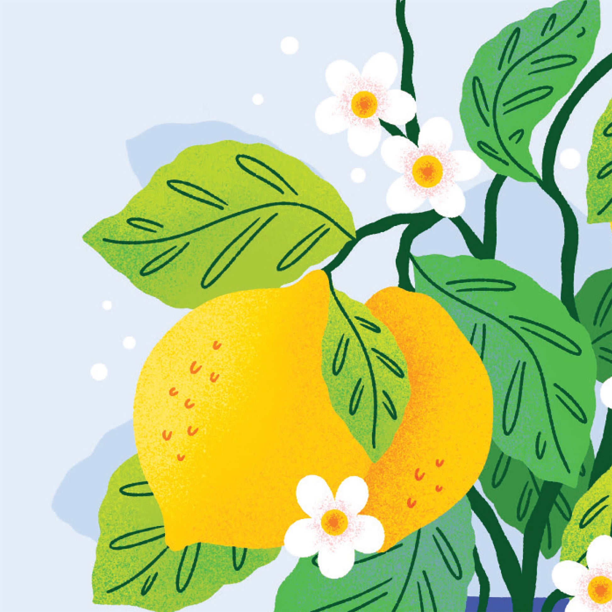 You're the Zest Lemon Pun Card