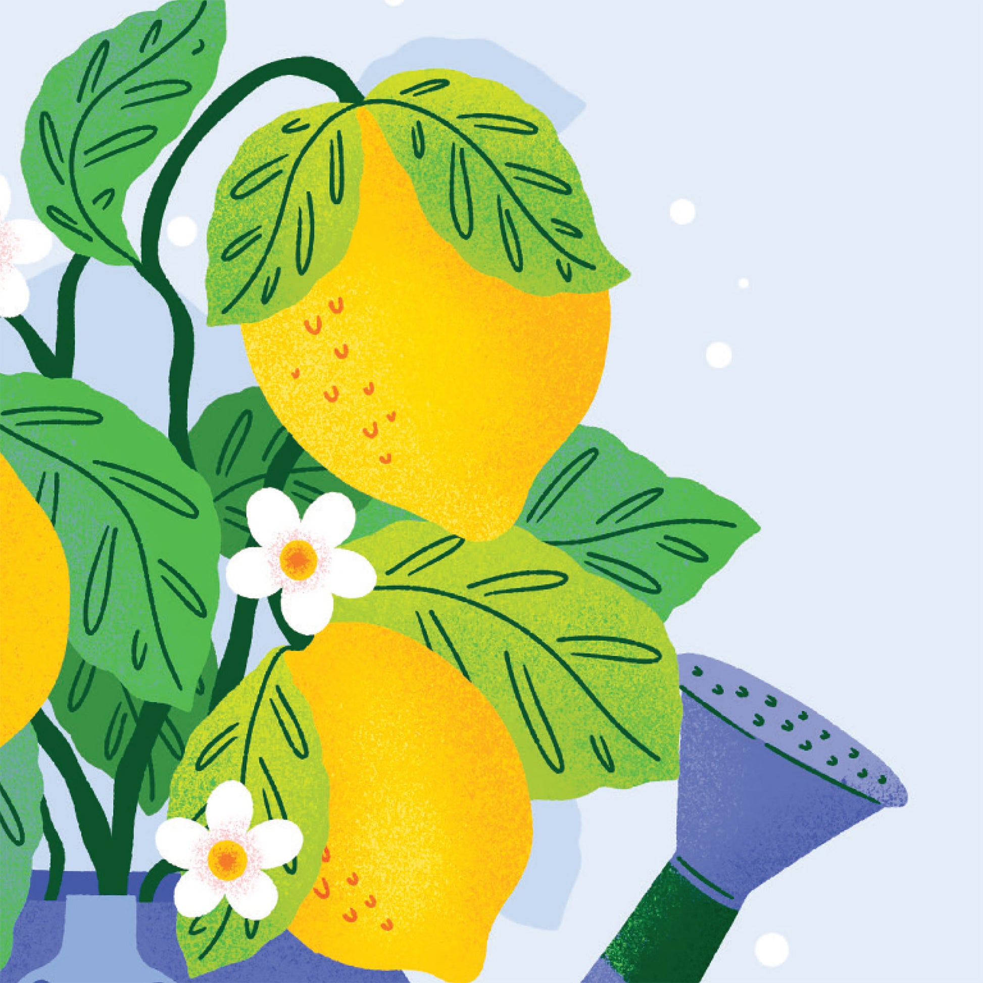 You're the Zest Lemon Pun Card